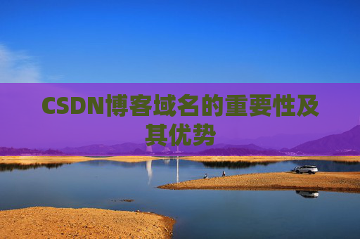 CSDN博客域名的重要性及其优势